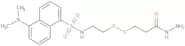 2-(Dansylsulfonamido)ethyl-3-(hydrazinocarboxy)ethyl disulfide