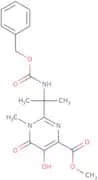 1,6-Dihydro-5-hydroxy-1-methyl-2-[1-methyl-1-[[benzylcarbamoyl]amino]ethyl]-6-oxo-4-pyrimidinecarb…
