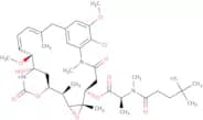 Maytansinoid DM 4