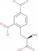 D-2,4-Dinitrophenylalanine