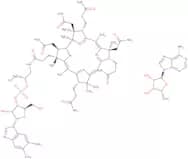 Coenzyme B12