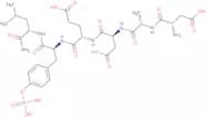 EGF Receptor (988-993) (phosphorylated) (human)