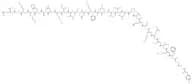 Beta-Endorphin (bovine, camel, mouse)