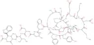 Endothelin-1 (human, bovine, dog, mouse, porcine, rat) acetate