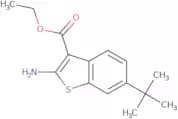 Ethyl 2-amino-6-tert-butyl-1-benzothiophene-3-carboxylate
