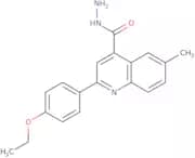 2-(4-Ethoxyphenyl)-6-methylquinoline-4-carbohydrazide