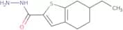 6-Ethyl-4,5,6,7-tetrahydro-1-benzothiophene-2-carbohydrazide