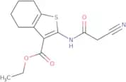 Ethyl 2-[(cyanoacetyl)amino]-4,5,6,7-tetrahydro-1-benzothiophene-3-carboxylate