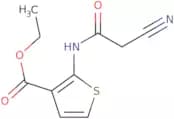 Ethyl 2-[(cyanoacetyl)amino]thiophene-3-carboxylate