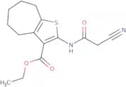 Ethyl 2-[(cyanoacetyl)amino]-5,6,7,8-tetrahydro-4H-cyclohepta[b]thiophene-3-carboxylate