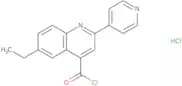 6-Ethyl-2-pyridin-4-ylquinoline-4-carbonyl chloride hydrochloride