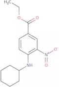 Ethyl 4-(cyclohexylamino)-3-nitrobenzoate