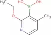 2-Ethoxy-4-methylpyridine-3-boronic acid