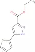 Ethyl 5-thien-2-yl-1H-pyrazole-3-carboxylate