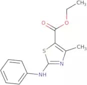 ethyl 5-methyl-3-(phenylamino)-2,4-thiazolecarboxylate