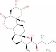 Epibrassinolide