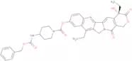 7-Ethyl-10-(4-[[benzylcarbamoyl]amino]-1-piperidino)carbonyloxycamptothecin