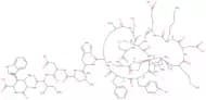Endothelin-1, human