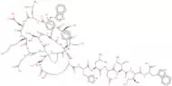 Endothelin-2, human