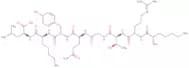 FGF basic (119-126) (human, mouse, rabbit, rat)