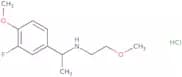 [1-(3-Fluoro-4-methoxyphenyl)ethyl](2-methoxyethyl)amine hydrochloride