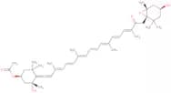 Fucoxanthine - 10%