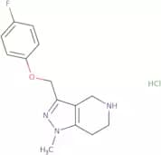 3-[(4-Fluorophenoxy)methyl]-1-methyl-4,5,6,7-tetrahydro-1H-pyrazolo[4,3-c]pyridine hydrochloride