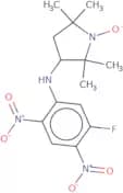 3-(5-Fluoro-2,4-dinitroanilino)-2,2,5,5,-tetramethyl-1-pyrrolidinyloxy