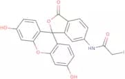 Fluorescein-6-iodoacetamide