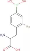 Fluoroboronophenylalanine