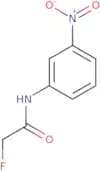 2-Fluoro-N-(3-Nitrophenyl)Acetamide