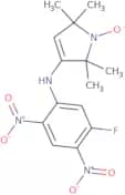 3-(5-Fluoro-2,4-dinitroanilino)-1-oxyl-2,2,5,5-tetramethyl-3-pyrrolidine