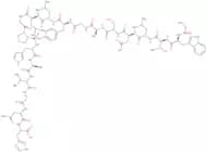 Galanin (1-19) (human)