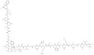 Galanin (human) trifluoroacetate salt