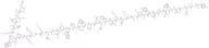 Gastric Inhibitory Peptide (GIP), human