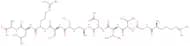 Human CMV Assemblin Protease Inhibitor
