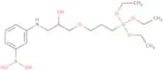 B-[3-[[2-Hydroxy-3-[3-(triethoxysilyl)propoxy]propyl]amino]phenyl]boronic acid