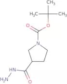 3-Hydrazinocarbonyl-pyrrolidine-1-carboxylic acid tert-butyl ester