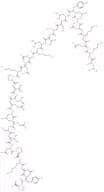 IL-1beta (178-207) (human)