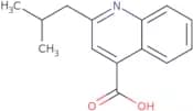 2-Isobutylquinoline-4-carboxylic acid