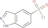 1H-Indazole-5-sulfonyl chloride