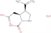 Kainic acid monohydrate