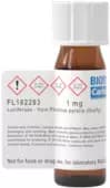 Luciferase - from Photinus pyralis (firefly)