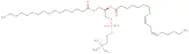 L-aPhosphatidylcholine - ex Soy