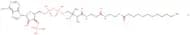 Lauroyl coenzyme A lithium