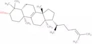 Lanosterol (Isocholesterol) - Lanosterol 60%