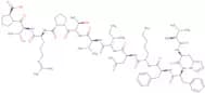 Myelin Basic Protein (87-99) (human, bovine, rat)