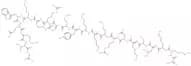 Myosin Light Chain Kinase (480-501)
