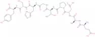 MAGE-1 Antigen (161-169) (human) acetate salt