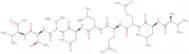Myeloblastin (142-150) (human, mouse) trifluoroacetate salt